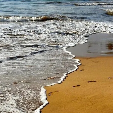 Studio A 2 Pas De La Plage Lejlighed